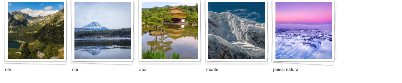 Subcategorii