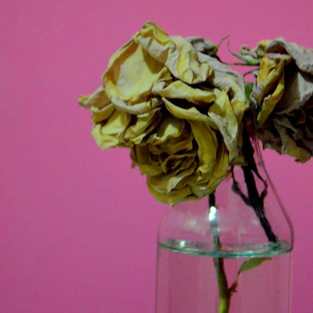 μαραμένα τριαντάφυλλα σε ένα βάζο online παζλ