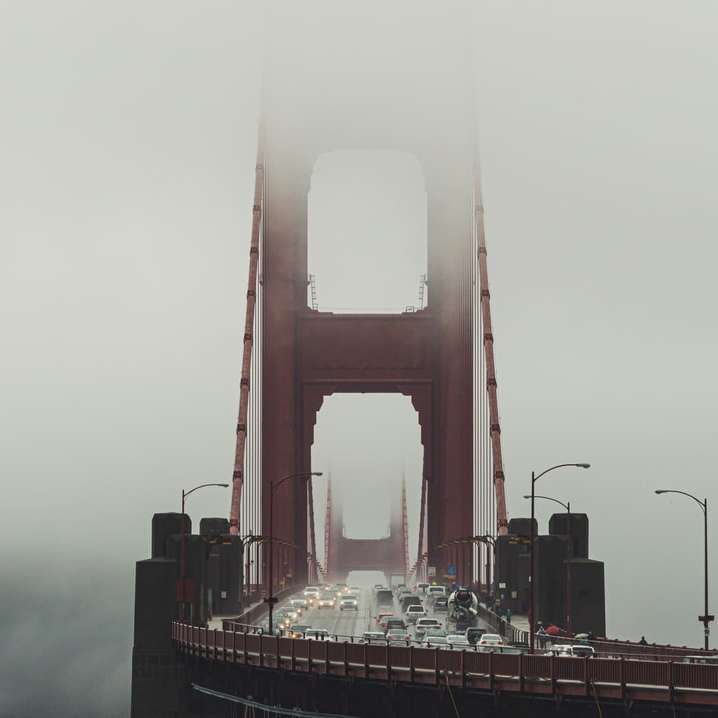 Ponte di palude nella nebbia puzzle online