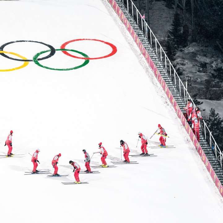 lyžování na olympiádě online puzzle