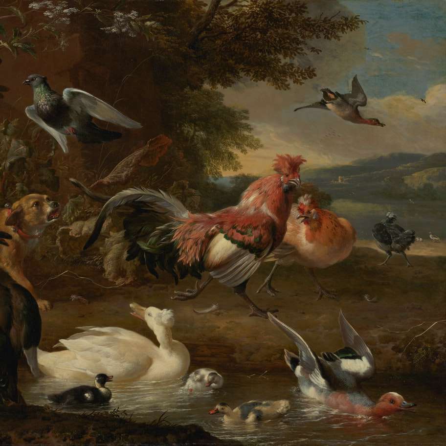 Chickens and Ducks. online puzzle