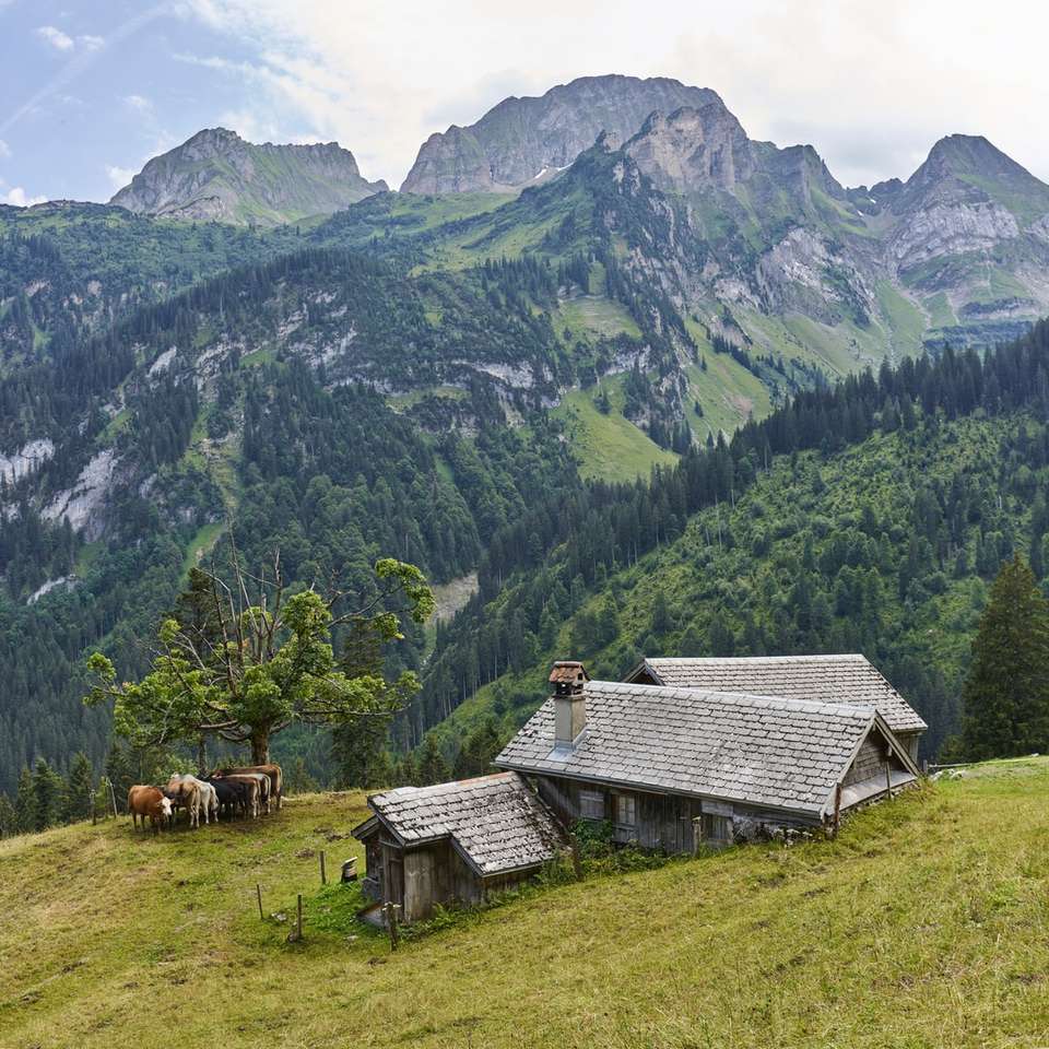 fotografie arhitecturală a muntelui verde alunecare puzzle online