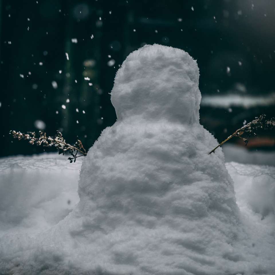 Snögubbe utomhus under fotografering för dagtid Pussel online