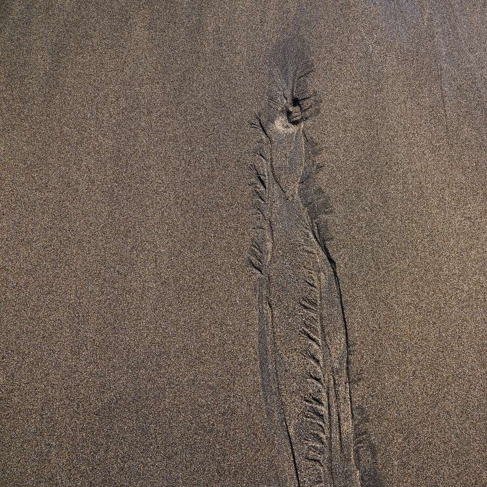 отпечатки на коричневом песке онлайн-пазл