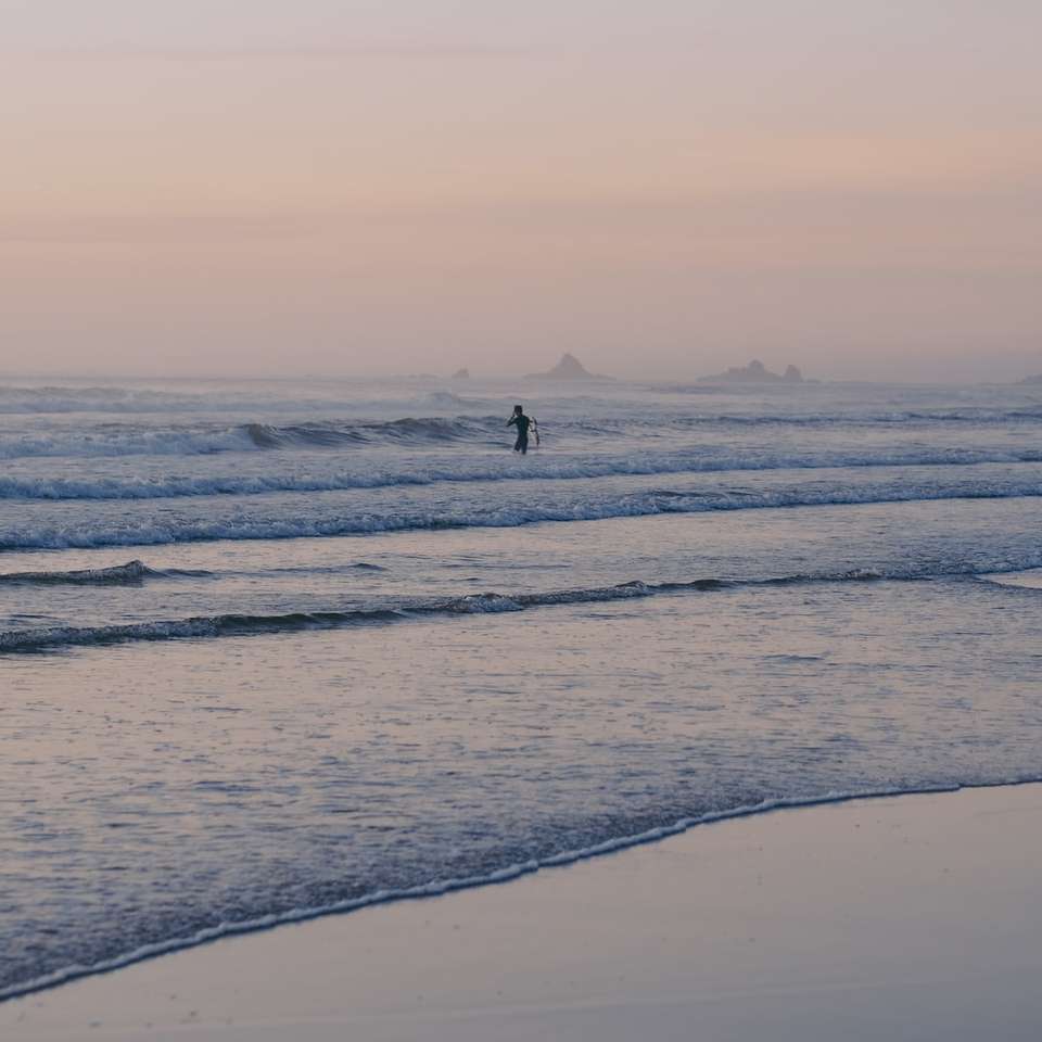 osoba spacerująca po plaży w ciągu dnia puzzle online