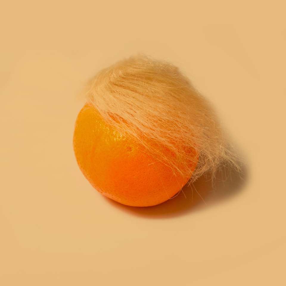 Trump's hair sliding puzzle online