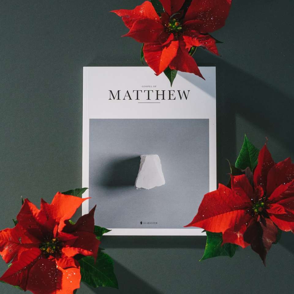Książka Mateusza w pobliżu czerwonych kwiatów poinsettia puzzle przesuwne online