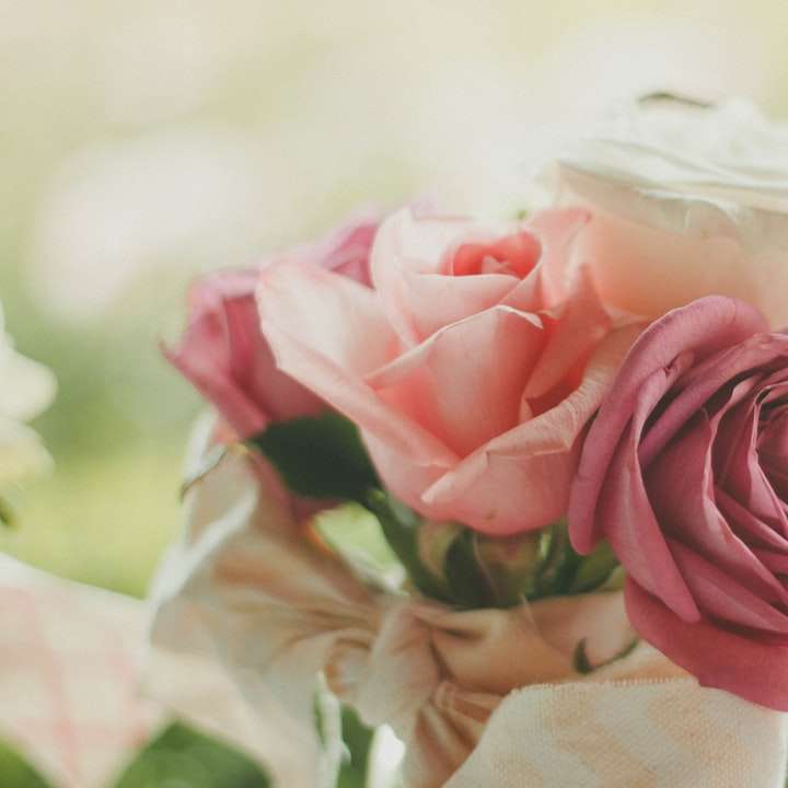Роза и венчелистчета в Walnut Creek онлайн пъзел