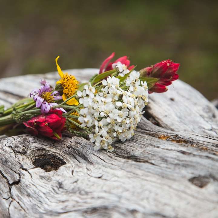 Bouquet de fleurs sauvages puzzle en ligne