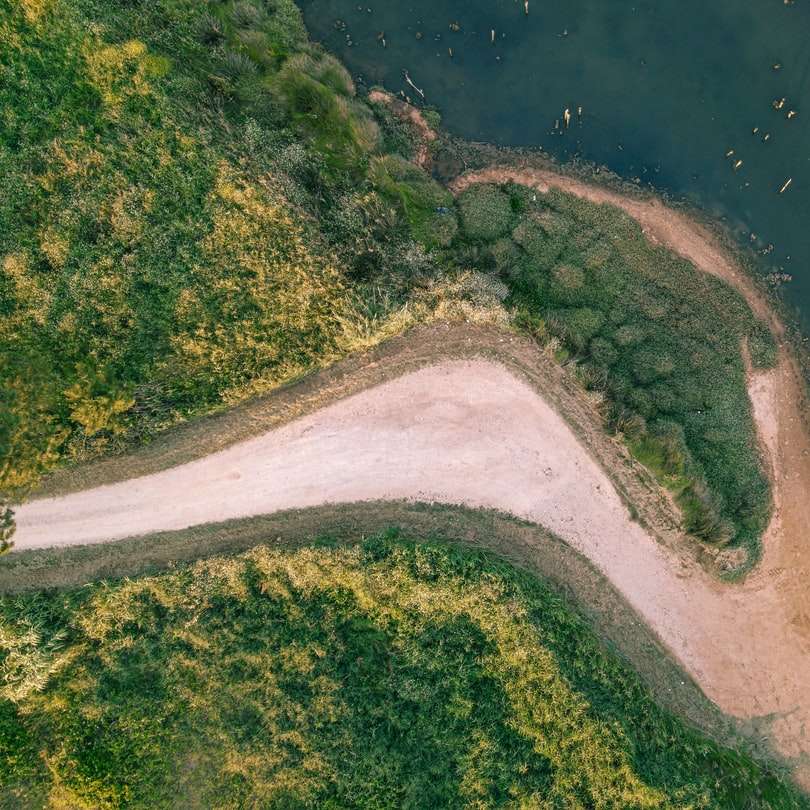 Flygfoto över gröna träd och floden glidande pussel online