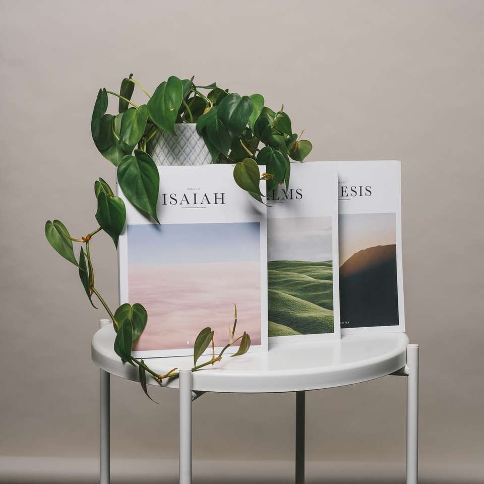 zielona roślina na bielu stole puzzle przesuwne online