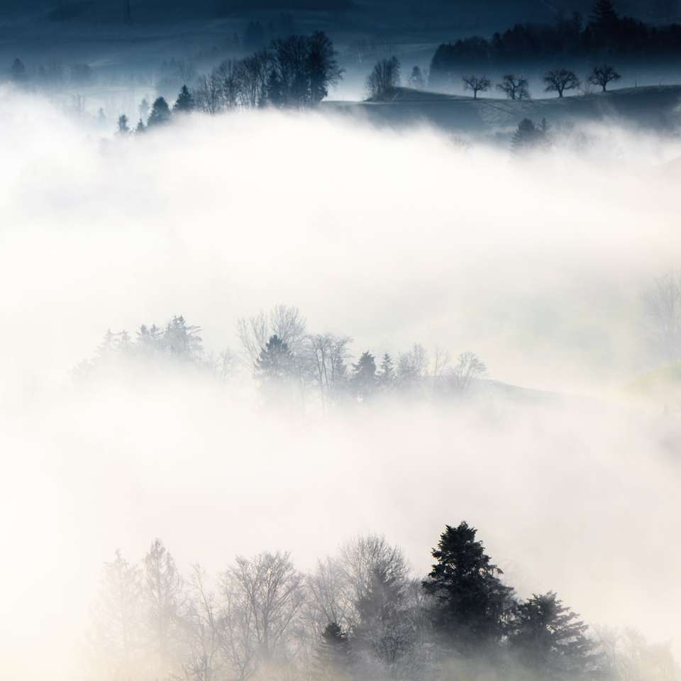 stromy a mlha posuvné puzzle online