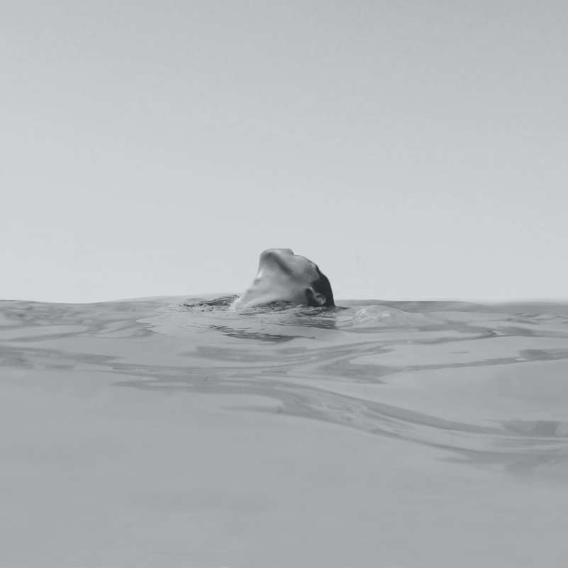 Frau, die auf der Ozeanfotografie schwimmt Schiebepuzzle online
