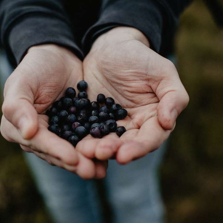 person holding black round fruits online puzzle