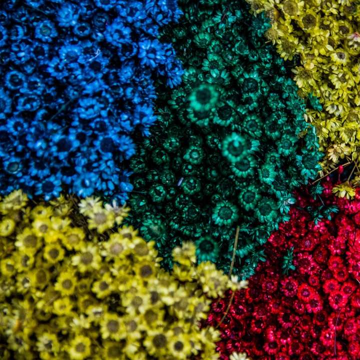 Lenyűgöző színes virágágyás online puzzle