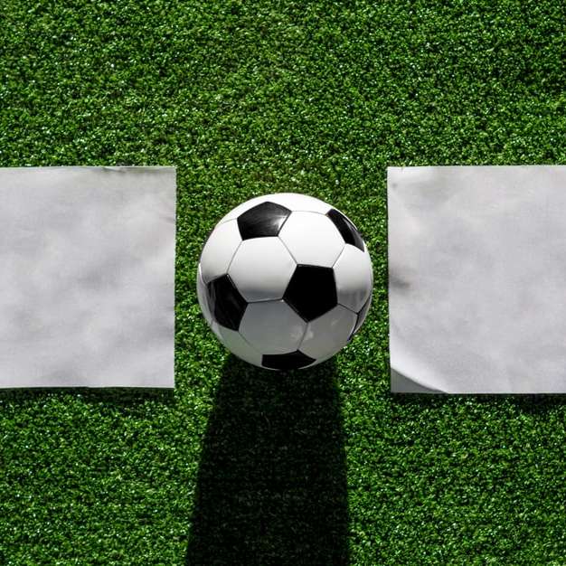 λευκή μπάλα ποδοσφαίρου στο πράσινο γρασίδι συρόμενο παζλ online