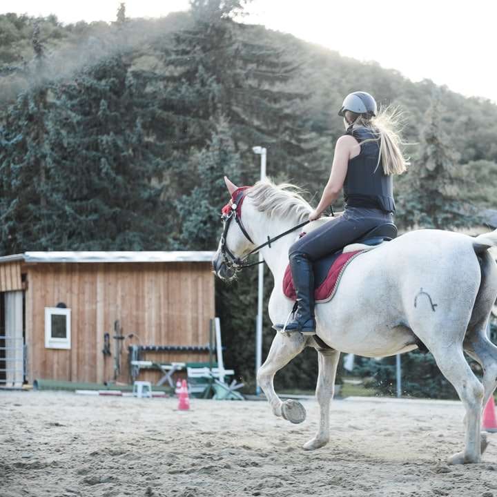 vrouw paardrijden naast bomen en bergen in de verte schuifpuzzel online