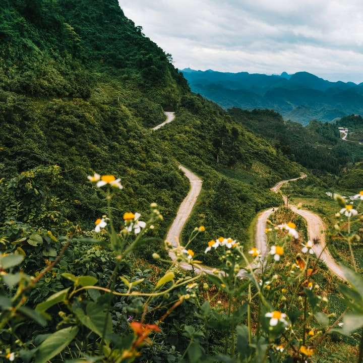 Szczęśliwy widok drogi od bramy nieba Quan Ba ​​- Ha Giang Wietnam puzzle przesuwne online