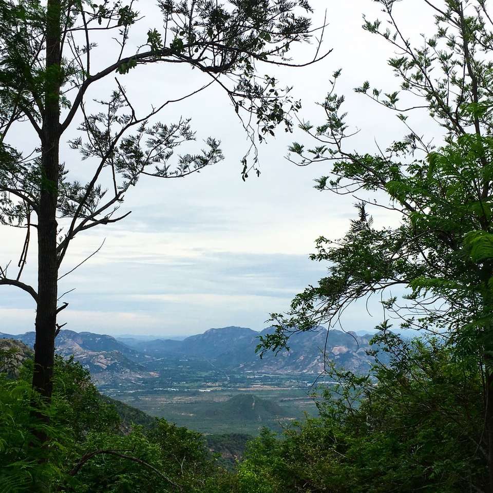 фото зелених дерев і гори розсувний пазл онлайн
