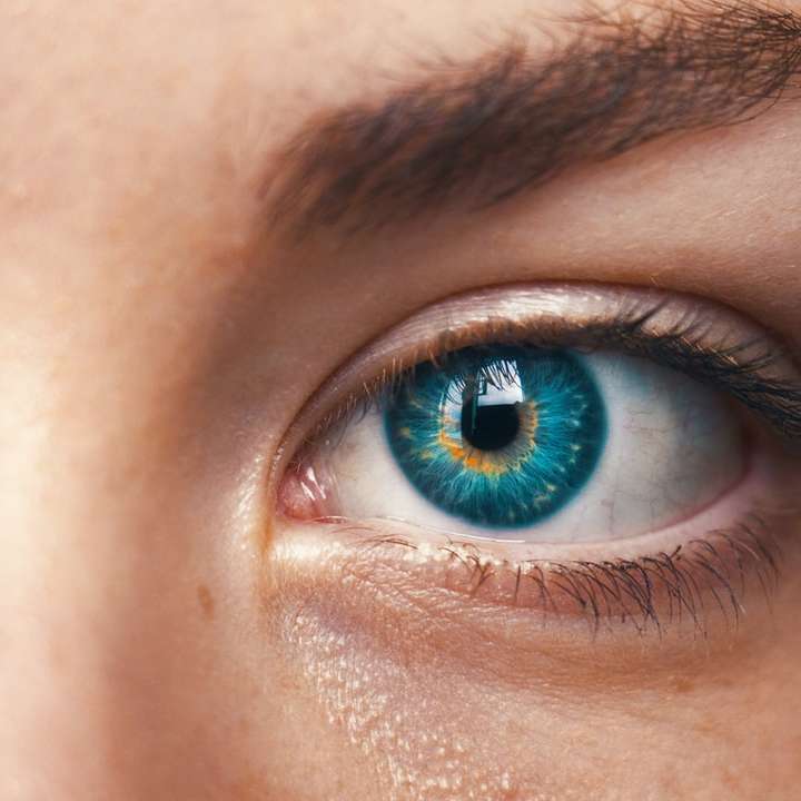 Los ojos no dicen mentiras rompecabezas en línea