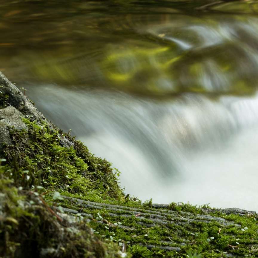 zielony mech na skale w pobliżu wodospadów puzzle online