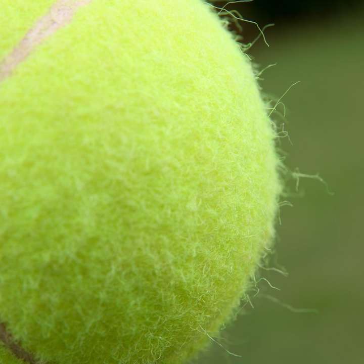 Tennisboll trädgård spel glidande pussel online