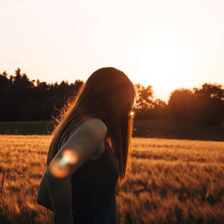 Момиче, разхождащо се през слънчеви полета плъзгащ се пъзел онлайн