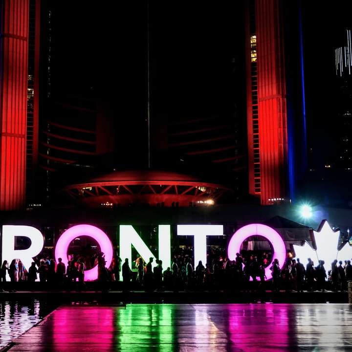Panou LED din Toronto puzzle online