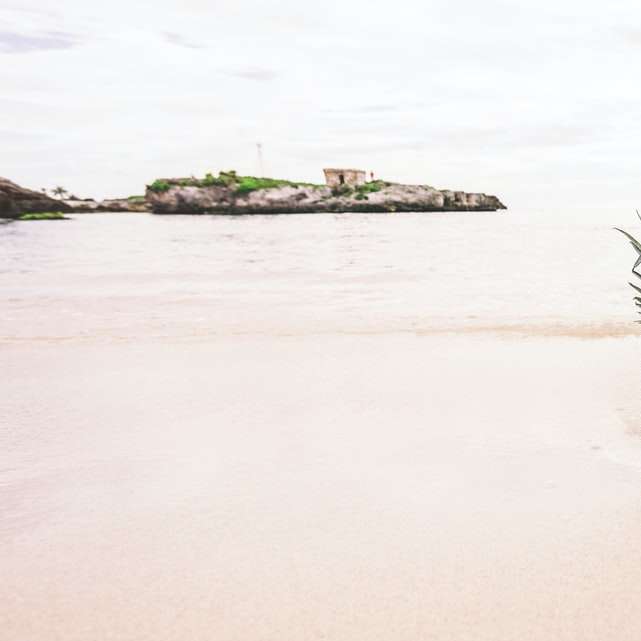 ананас на фотографията на морския бряг плъзгащ се пъзел онлайн