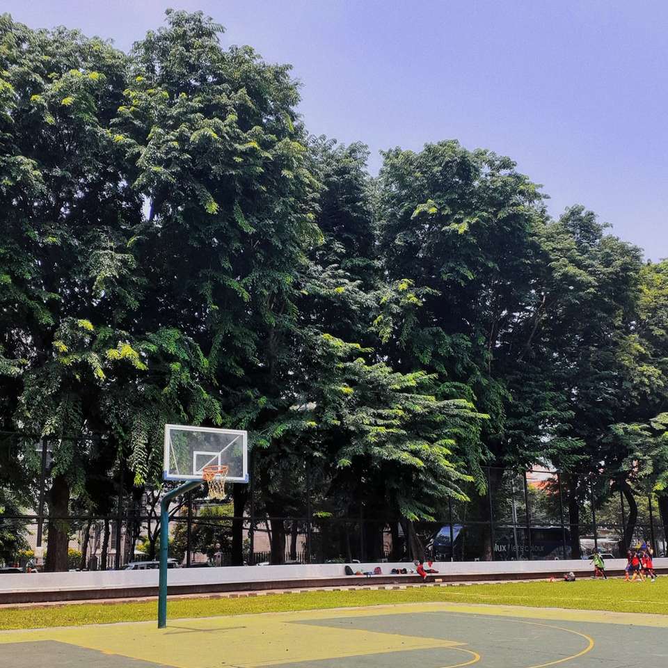 Γήπεδο μπάσκετ στο πάρκο της πόλης συρόμενο παζλ online