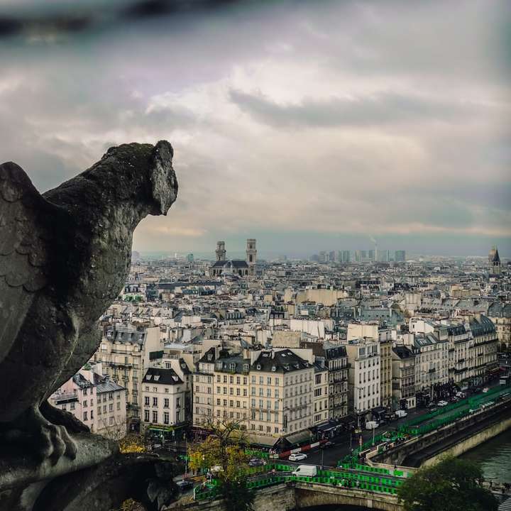 Vedere spre Paris alunecare puzzle online