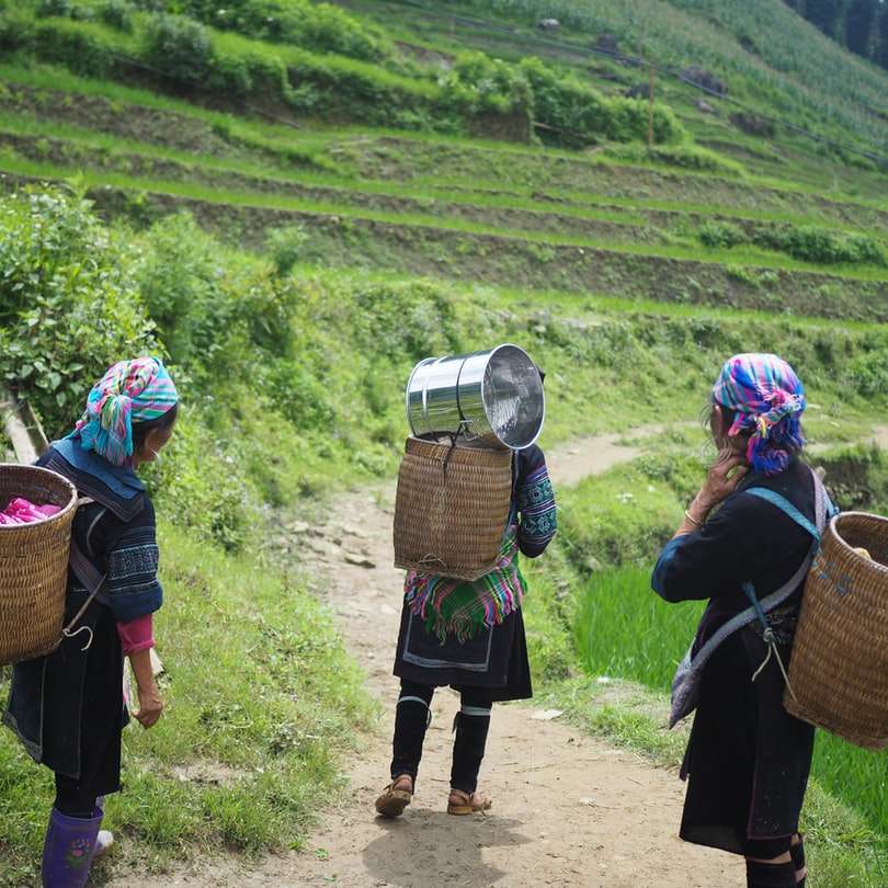 Tradiční ženy v severním Vietnamu posuvné puzzle online