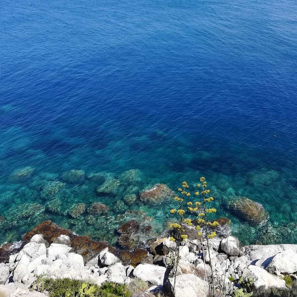 vita stenar bredvid blått hav på dagtid Pussel online