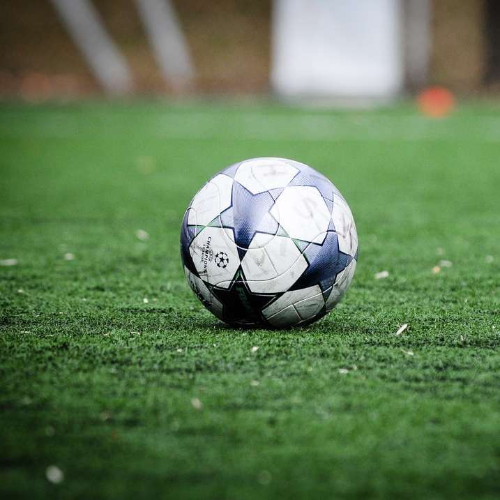 Balón de fútbol blanco y azul en campo de hierba verde durante el día rompecabezas en línea