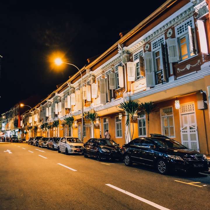 Singapore Road bei Nacht Online-Puzzle