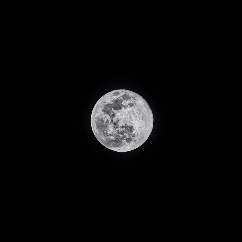 full moon in dark night sky sliding puzzle online