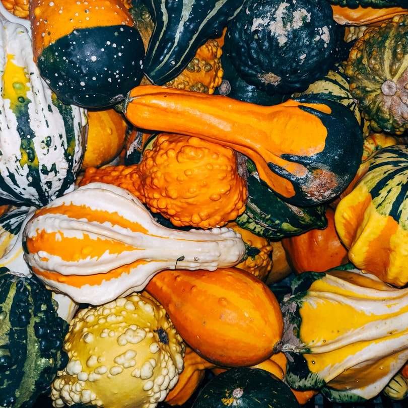 decorative pumpkins online puzzle