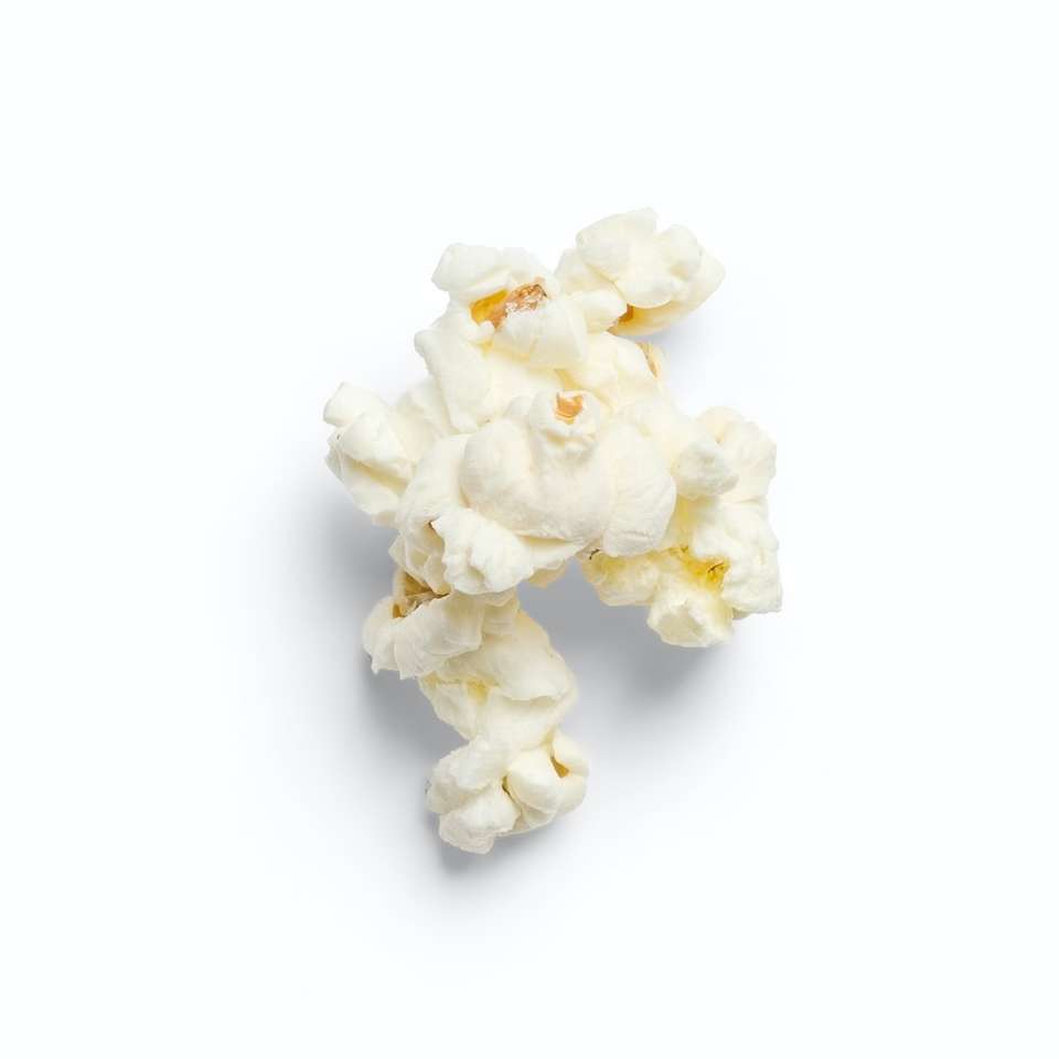 λευκό λουλούδι σε άσπρο φόντο συρόμενο παζλ online