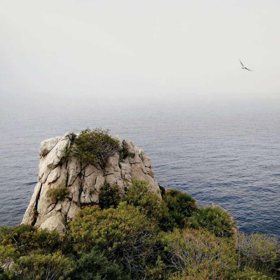 Mistige zee achtergrond en rotsen online puzzel