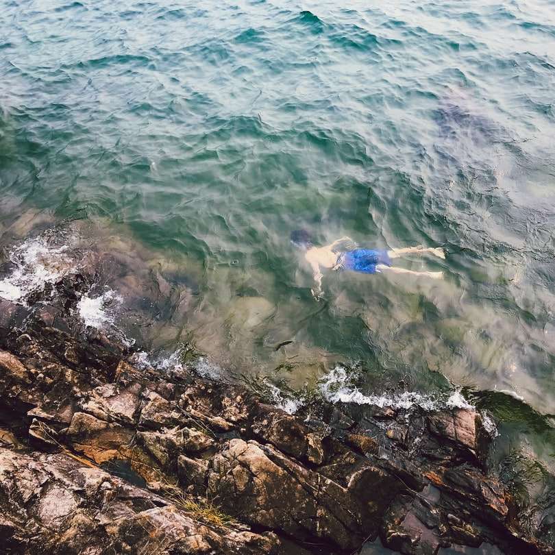 man in blauwe korte zwemmen aan kust overdag online puzzel