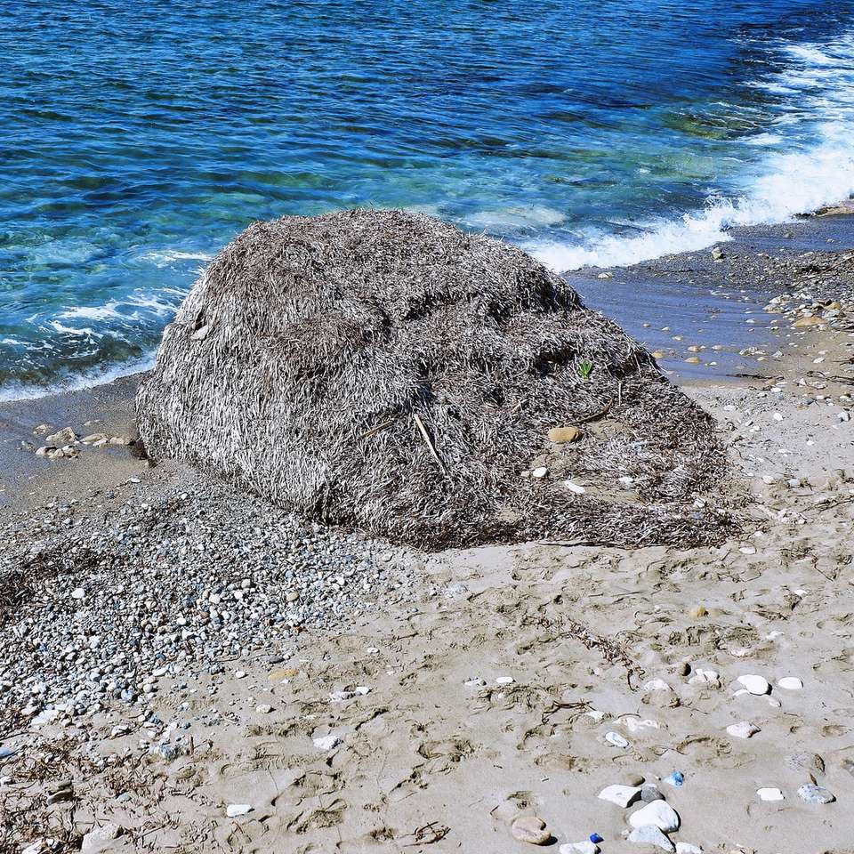 Fragmento - Paseo costero de Paphos puzzle deslizante online