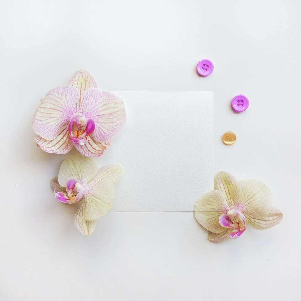 flores de orquídea bege na superfície branca puzzle deslizante online