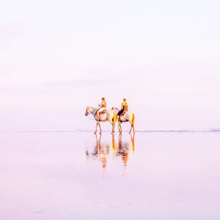 двама мъже, яздещи кон на морския бряг през деня онлайн пъзел