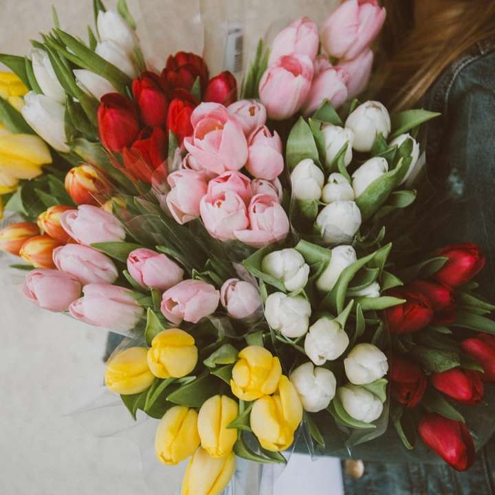Kobieta z wieloma bukietami tulipanów puzzle online