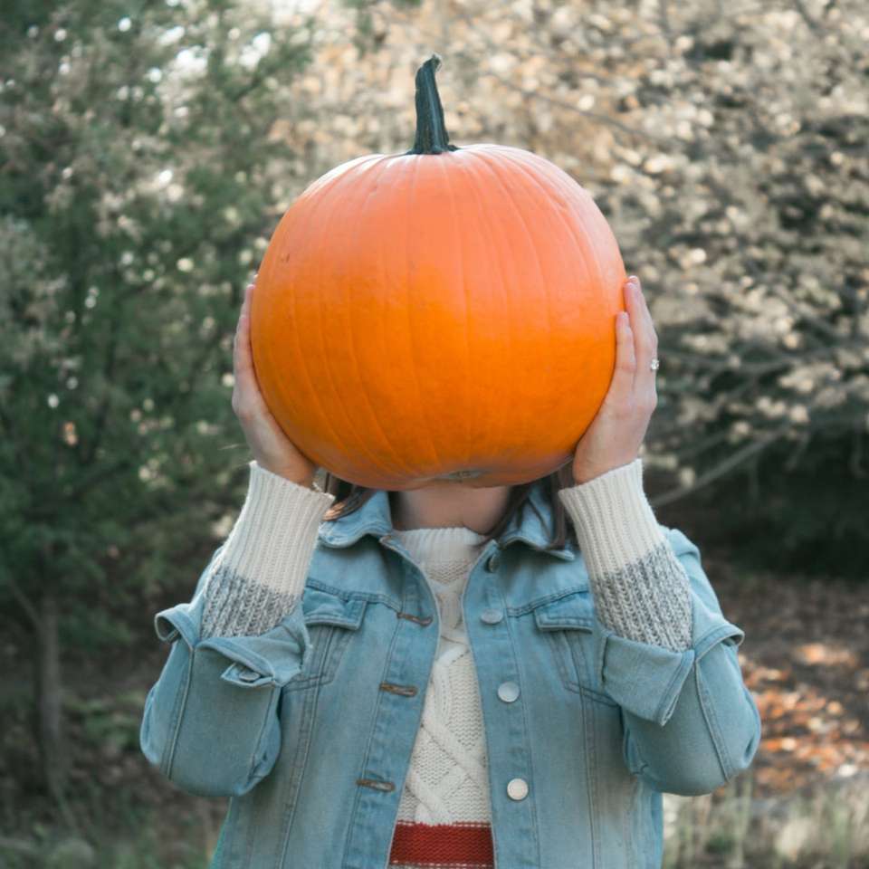 Pumpkin Headed Girl online puzzle