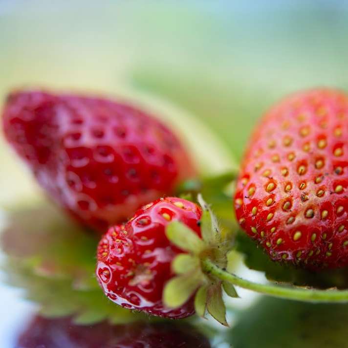 rote Erdbeeren in Makrolinse Schiebepuzzle online