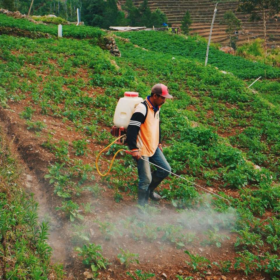 Земеделски производител зает в Калимантан, Индонезия онлайн пъзел