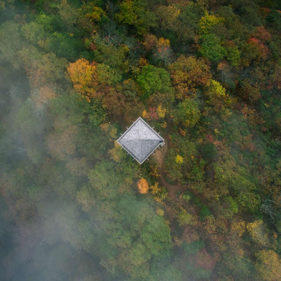 widok z lotu ptaka na dom na środku lasu puzzle przesuwne online