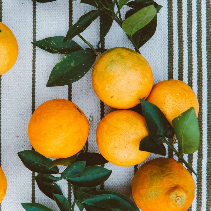 地中海の柑橘類のフラットレイ スライディングパズル・オンライン
