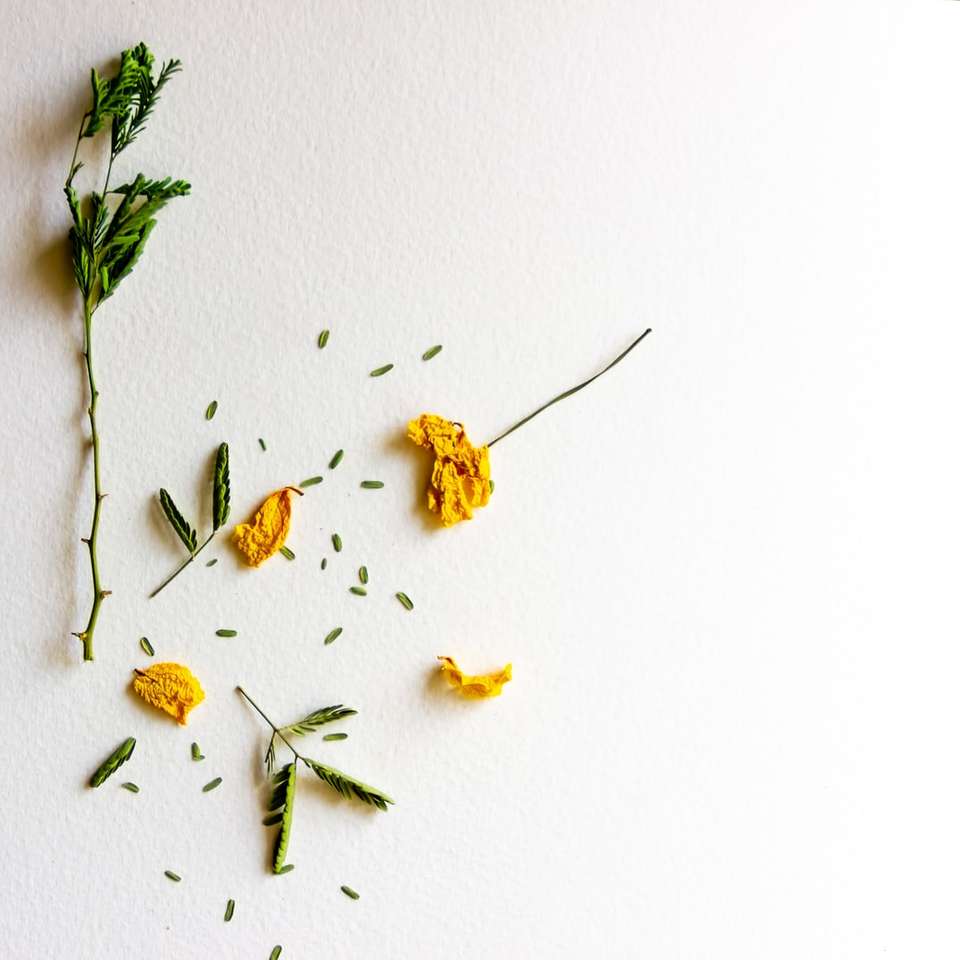 жълти и бели цветя на бяла повърхност онлайн пъзел